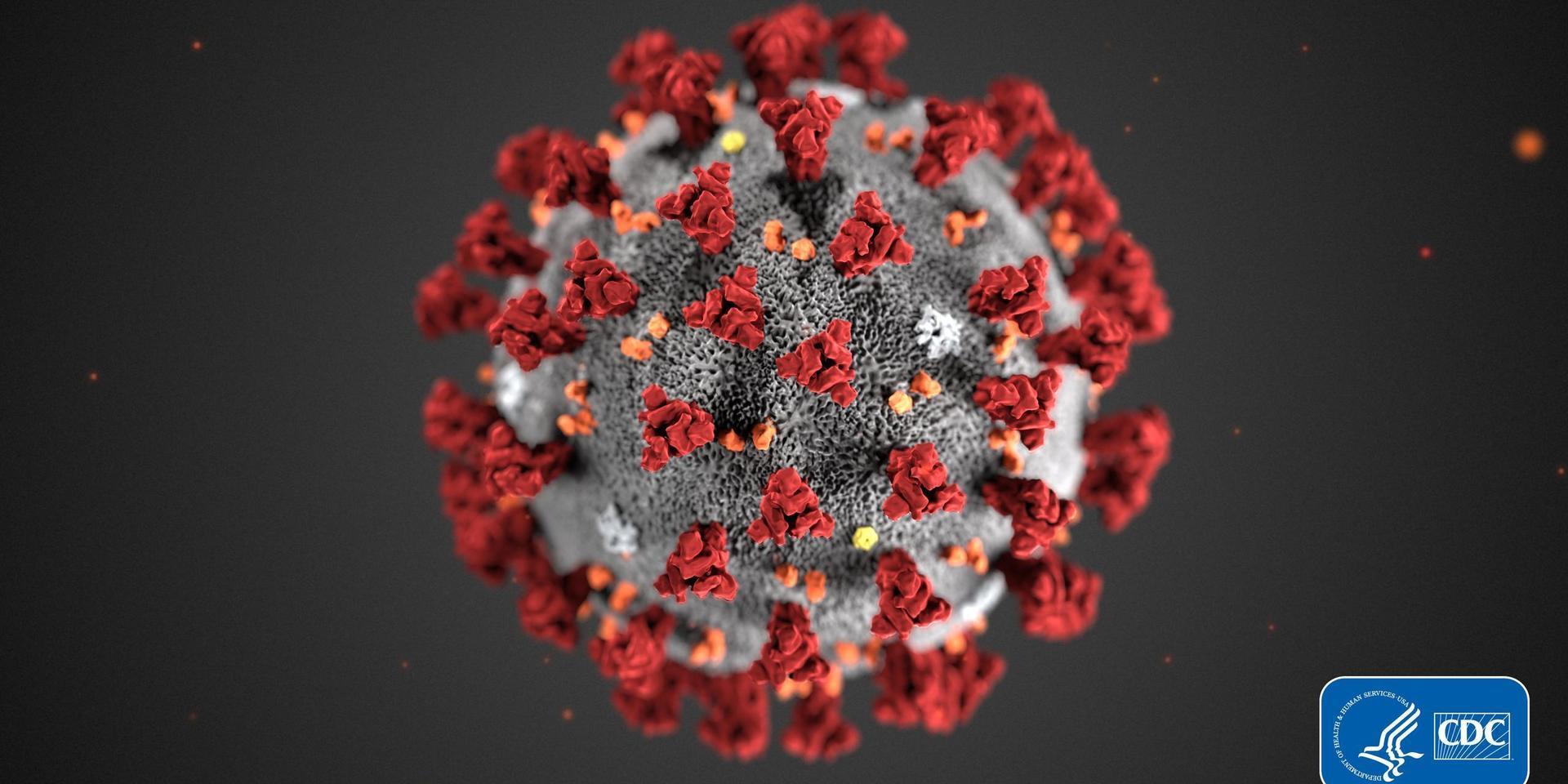 Det virus som nu riskerar att spridas över världen är ett så kallat coronavirus, ett virus som två gånger tidigare har orsakat smittspridning, sars 2003 och mers 2012.