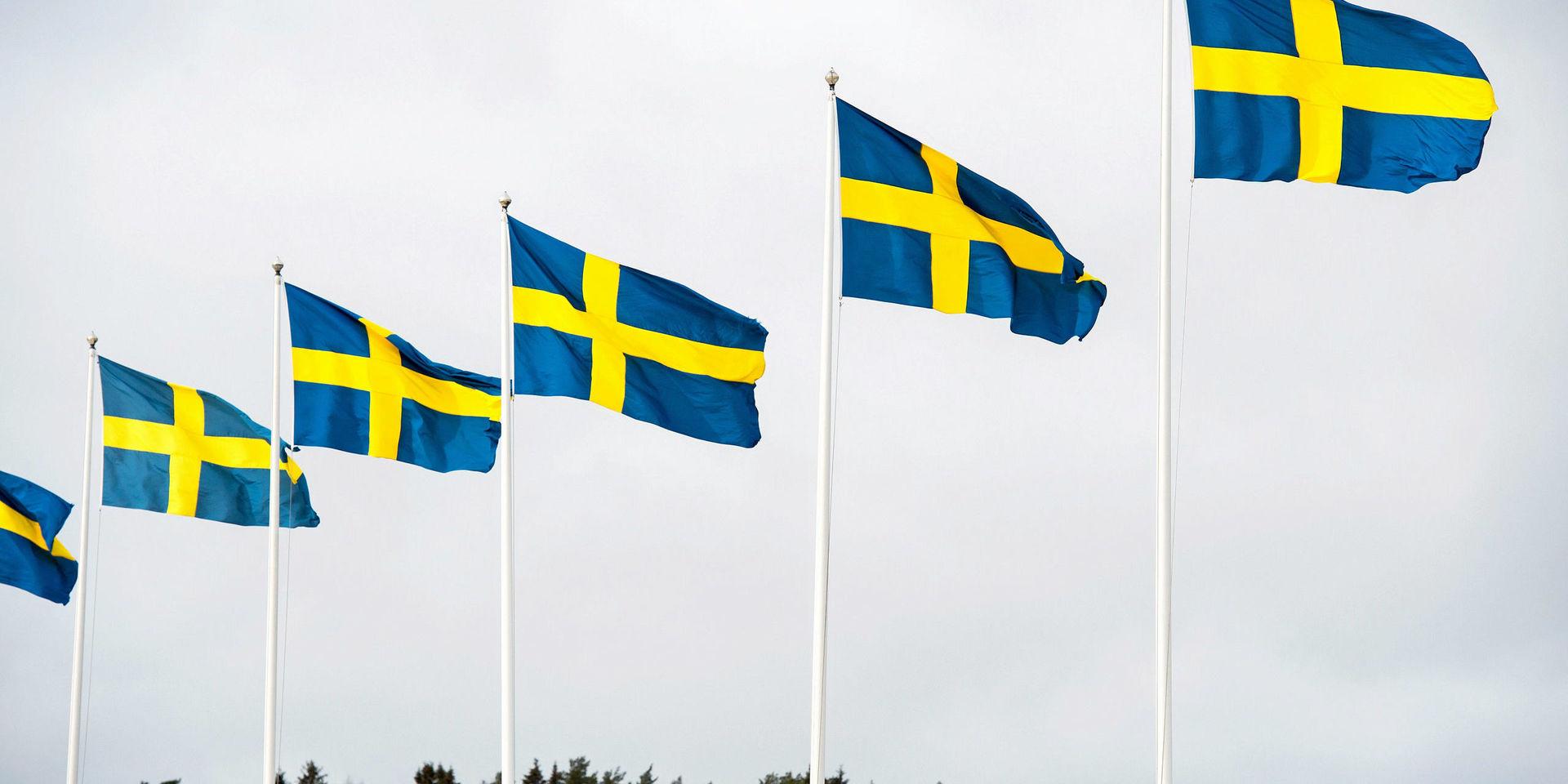 Den åttonde mars vajar flaggorna högt på Trollhättans stänger för det tionde året i rad, tack vare den motion som Vänsterpartiet fick igenom 2009, uttrycker debattörerna.