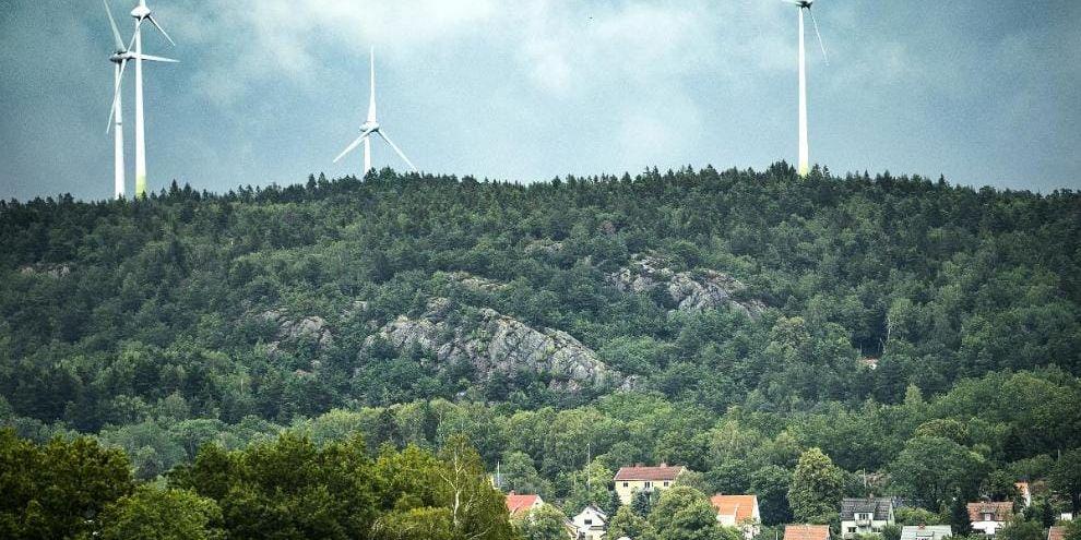 Inga nya vindkraftsverk byggdes i Trollhättan, Vänersborg, Mellerud eller Lilla Edet förra året. ”Det är tufft att vara vindkraftsägare i dag”, säger Tore Johansson, driftsledare för Pressebergets vindkraftpark i Lilla Edet.