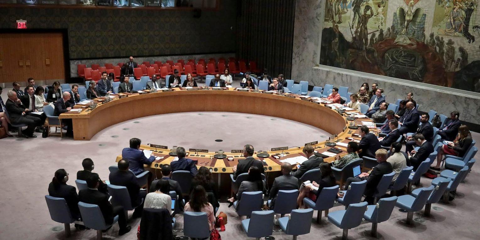 Fem nya länder har valts in till de icke-permanenta platserna i FN:s säkerhetsråd. Arkivbild från ett sammanträde i maj i år.
