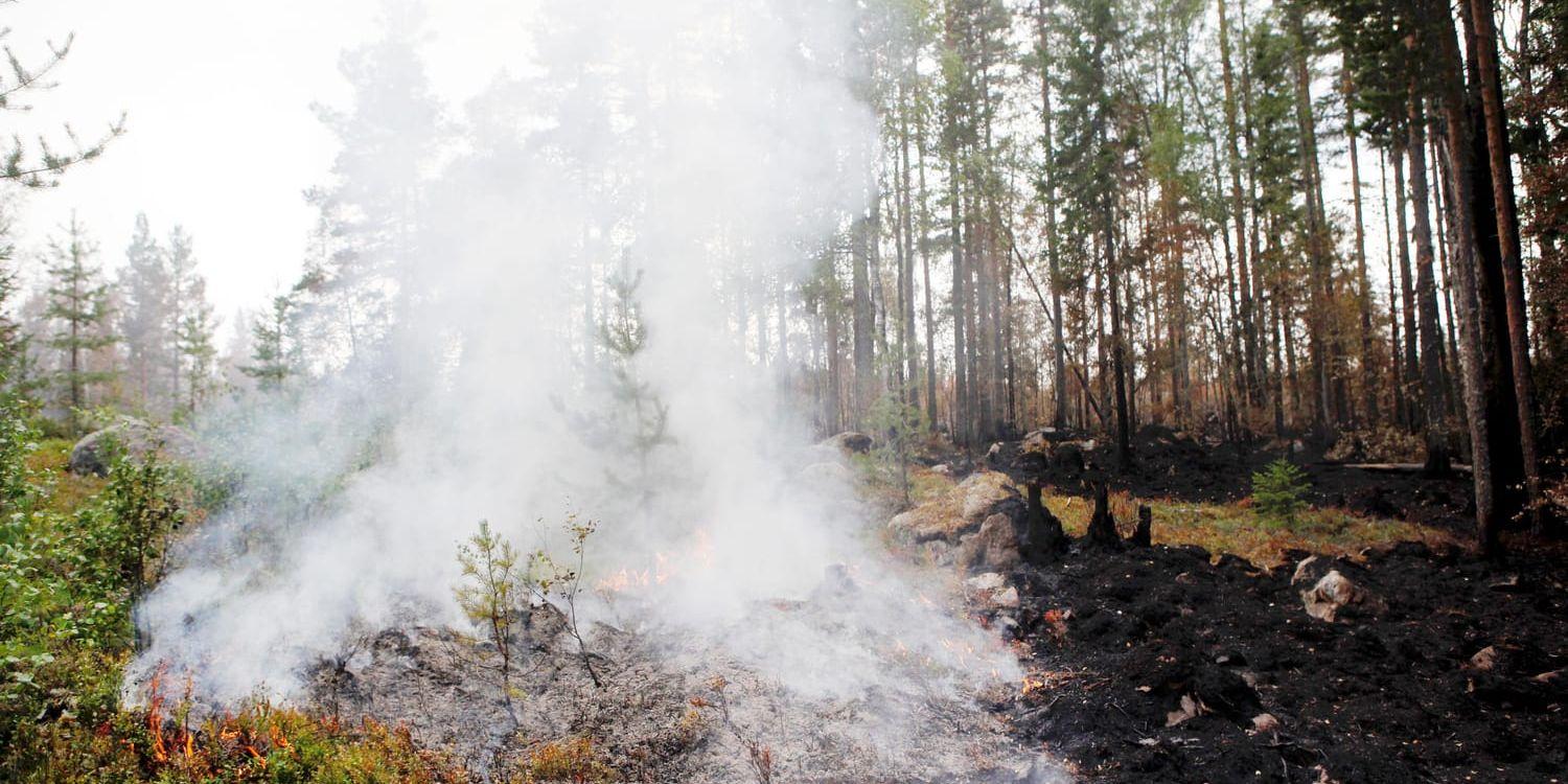 Pyrande rök vid skogsbranden i Ljusdals kommun, i närheten av Ängra och Huskölen, i juli 2018.
