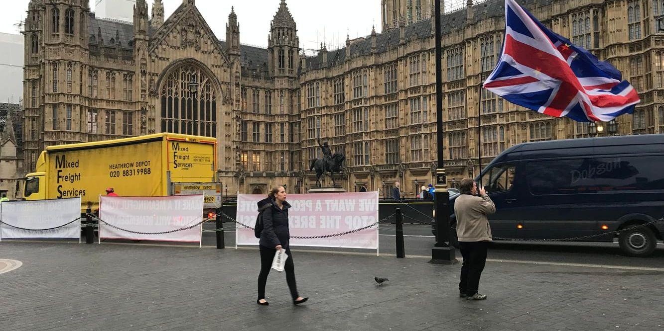 EU-förespråkaren Barry Freeman håller upp en brittisk flagga utanför parlamentet i London.