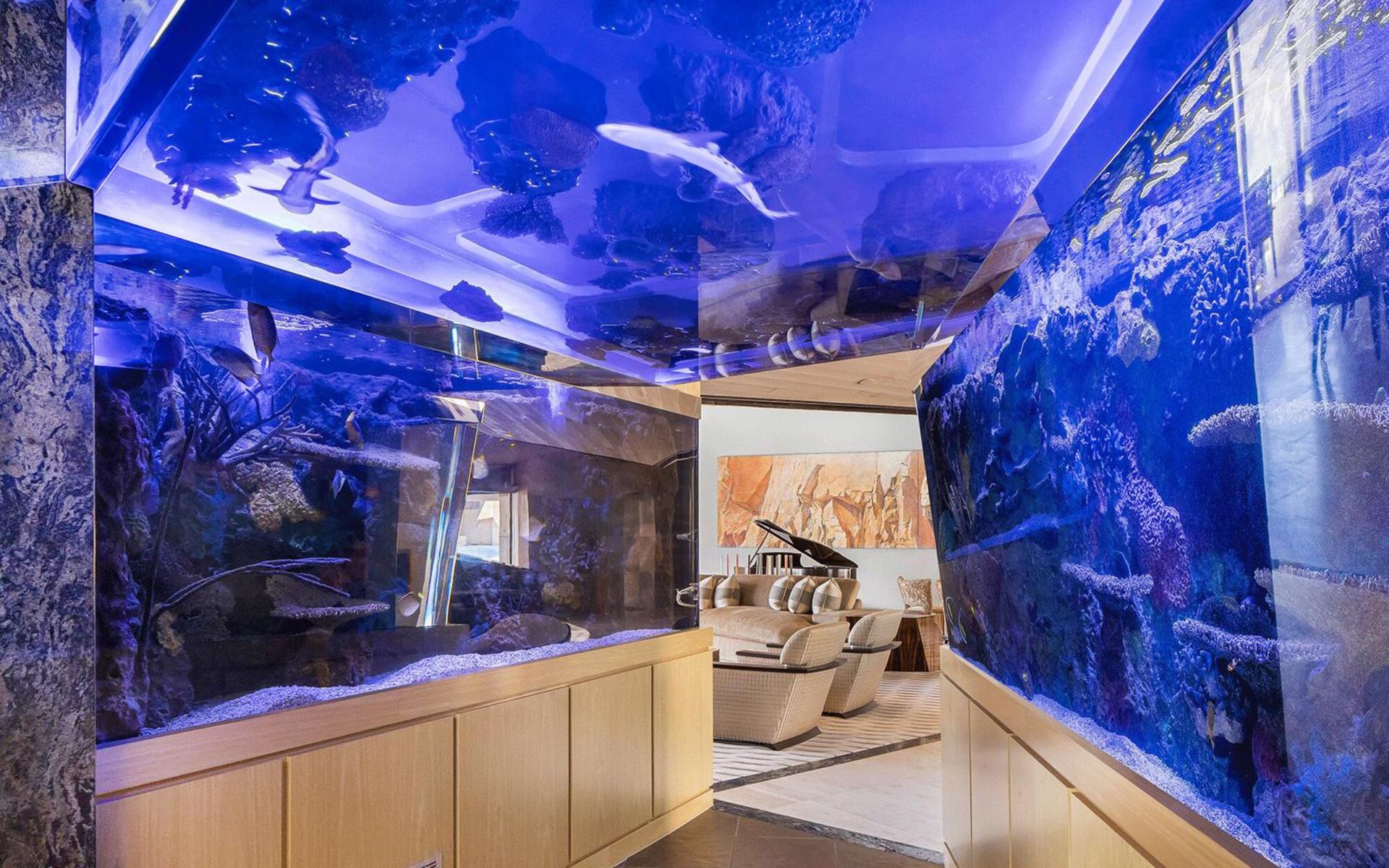 Det måste vara ovanligt med en akvarietunnel med hajar och exotiska fiskar i ett privat hus.
