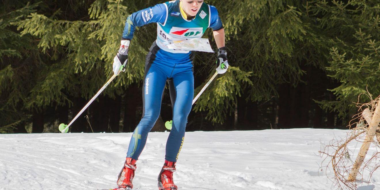 På onsdag inleds VM i skidorientering i Piteå med långdistansloppet. Den svenska storstjärnan Tove Alexandersson är en av guldkandidaterna.
