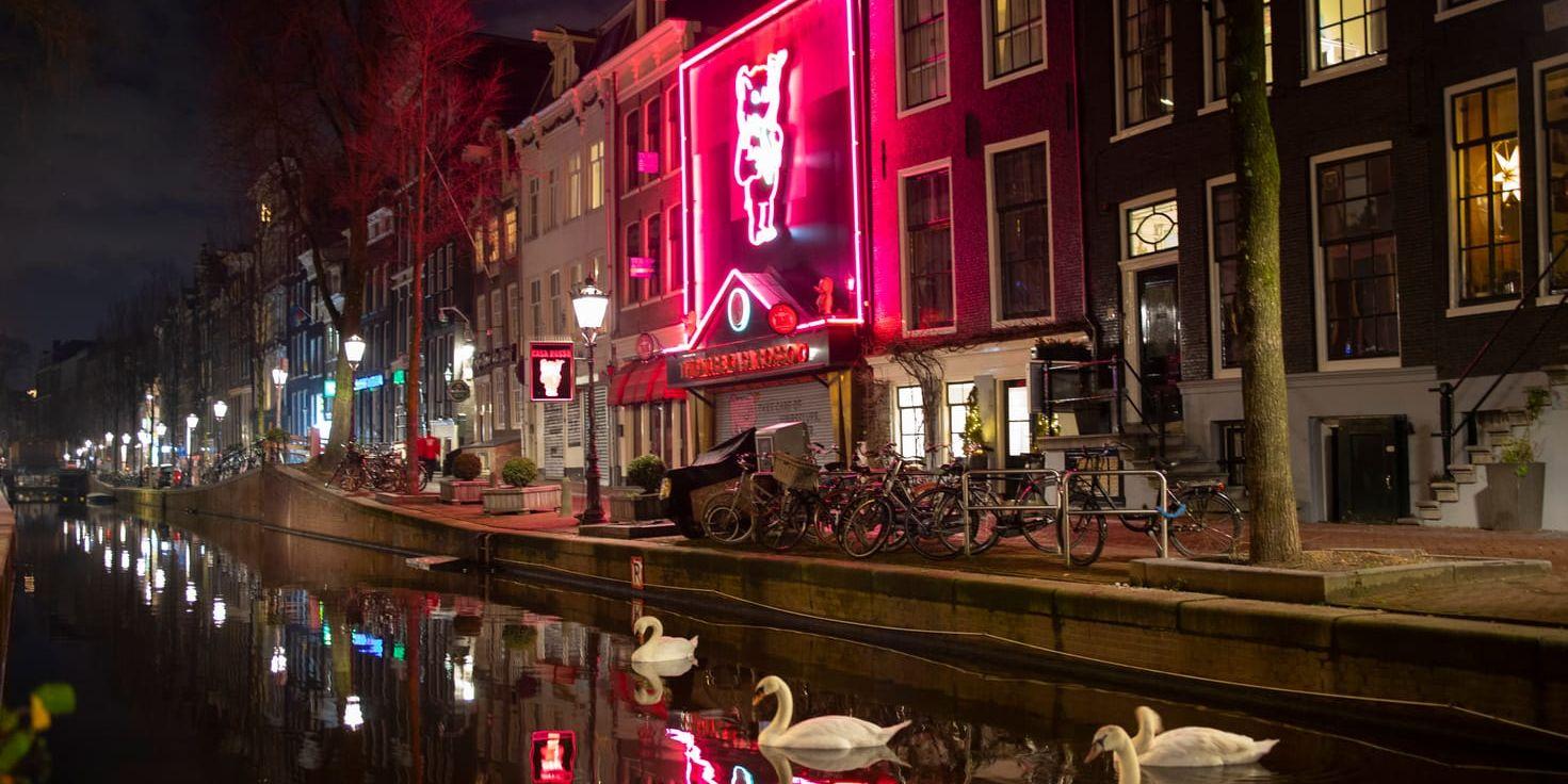 I Amsterdam pågår en långvarig offentlig debatt huruvida turister ska bannlysas från stadens cannabiscaféer. Arkivbild.