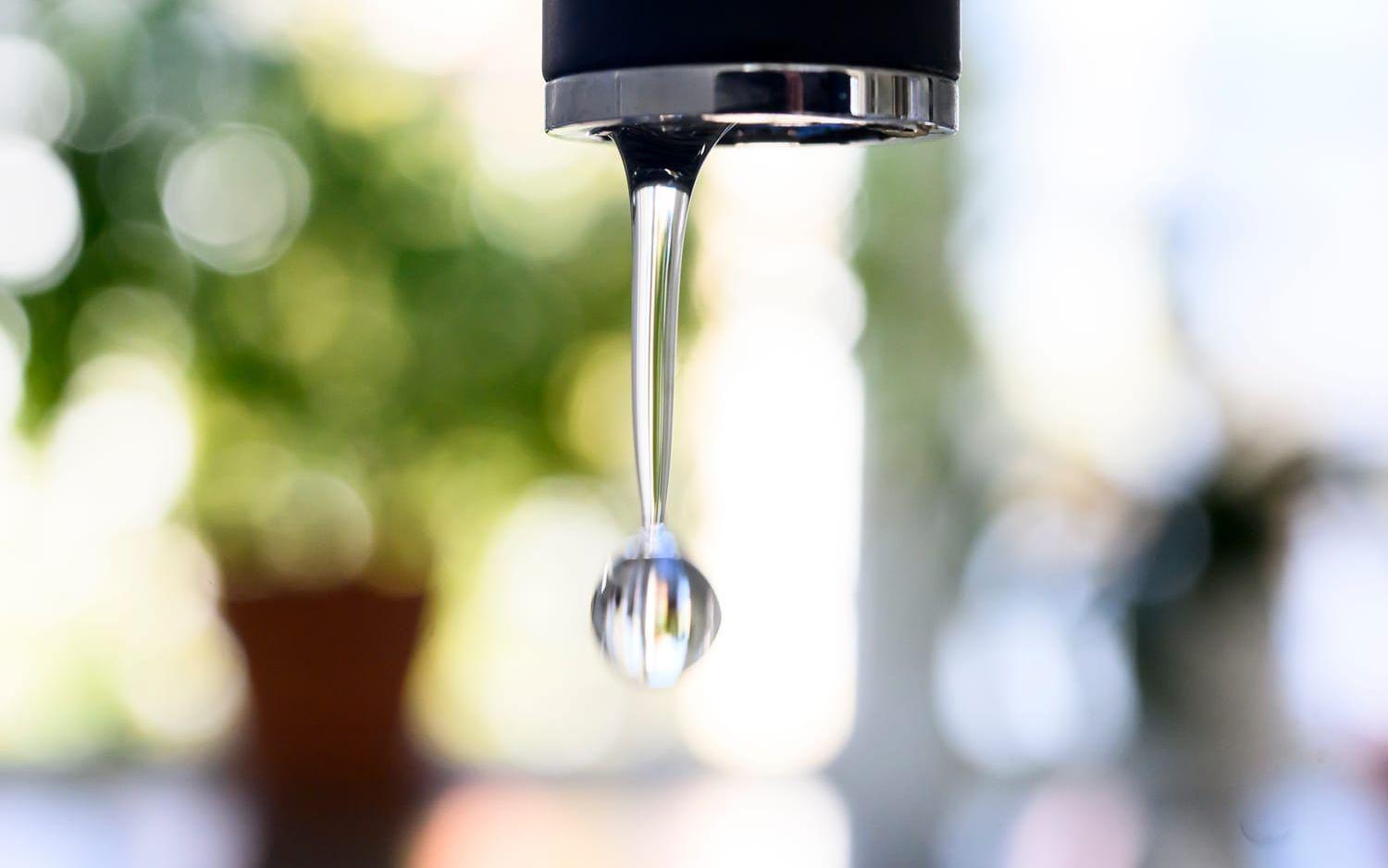 En del kommuner kan komma att införa restriktioner till följd av de låga vattennivåerna. Arkivbild.