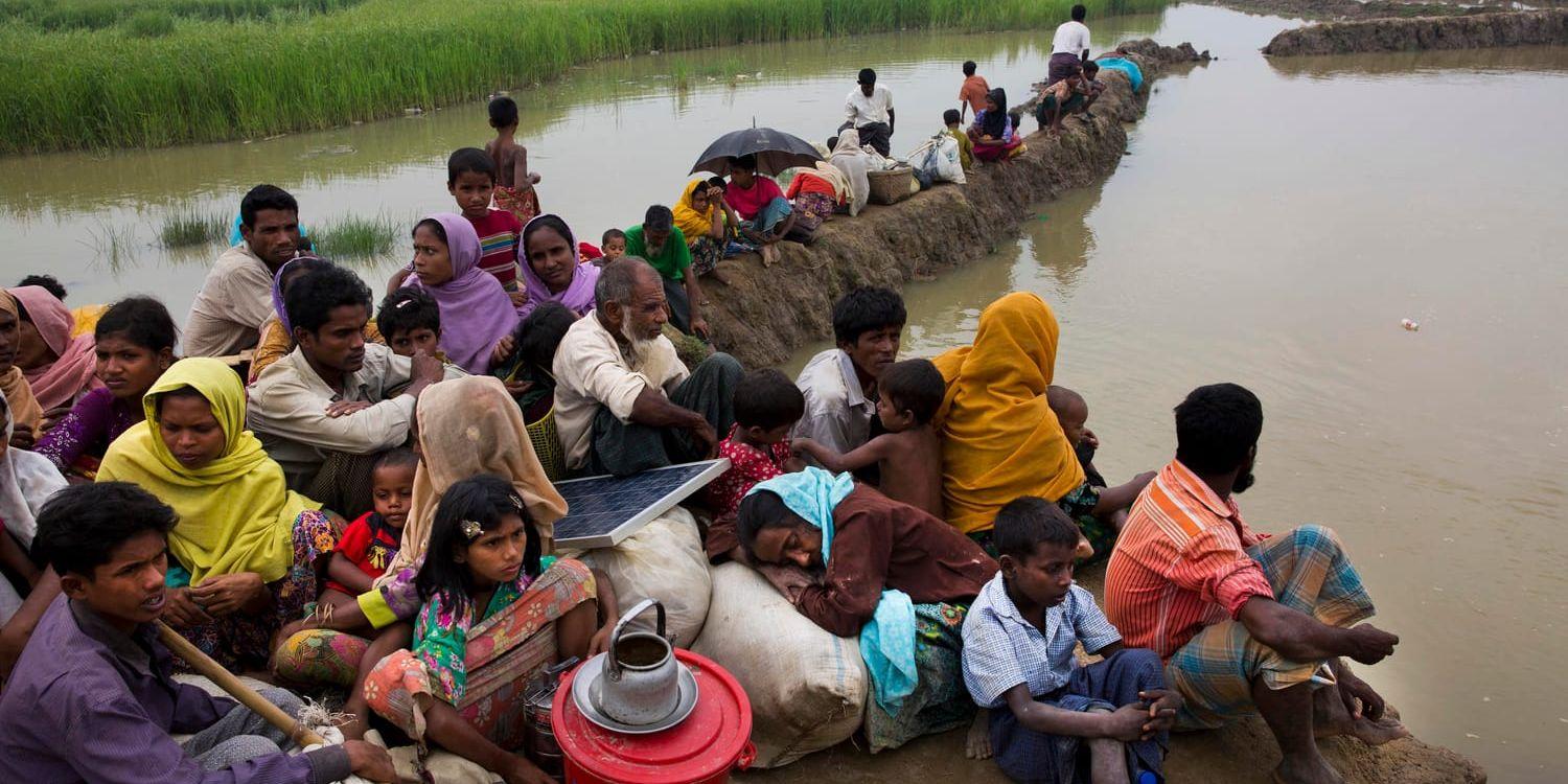 Statslösa rohingyer som har flytt delstaten Rakhine i Burma.