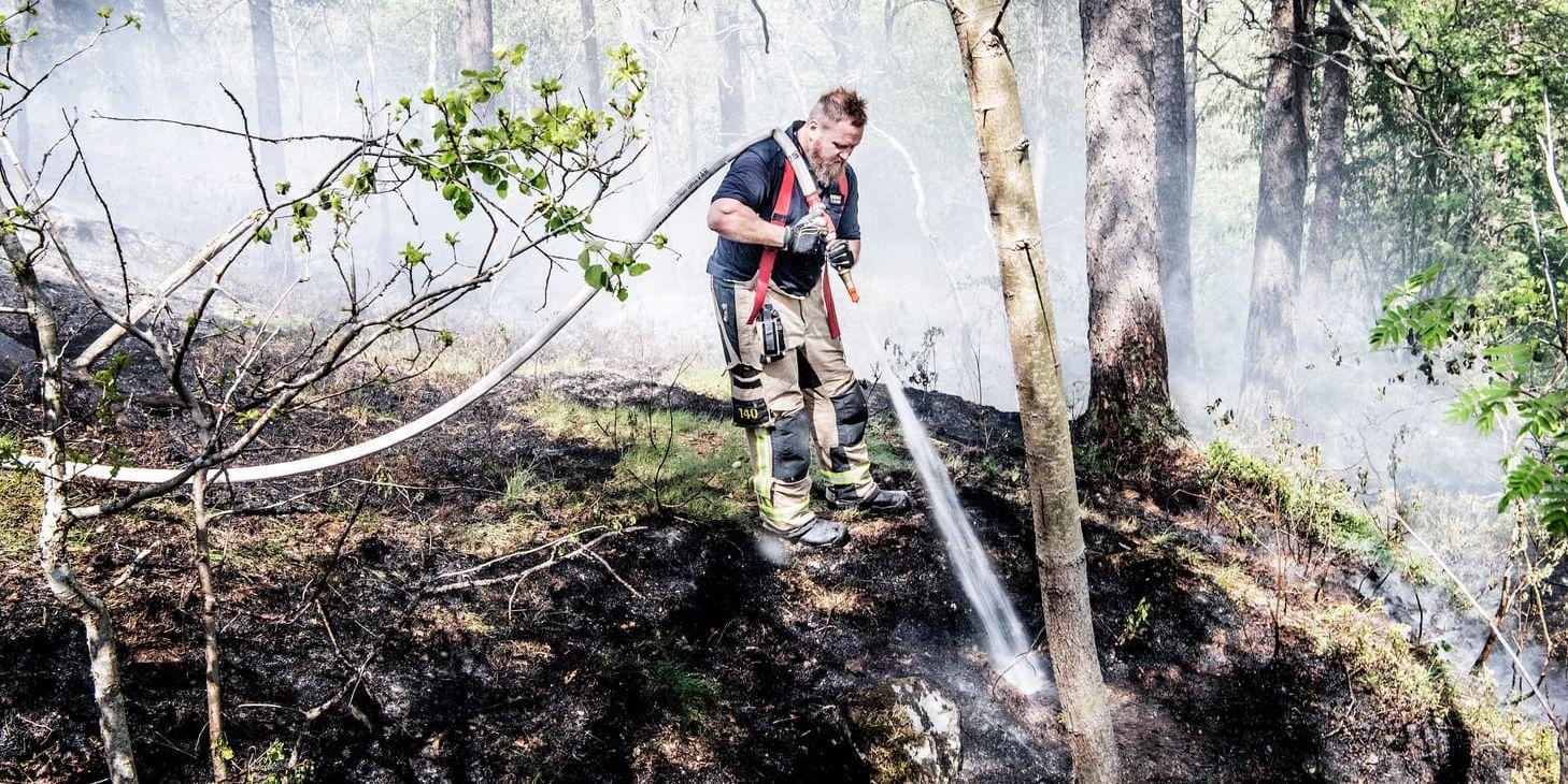 Det är torrt i markerna och räddningstjänsten i området har utfärdat eldnignsförbud. Under lördagen brann det vid Kopparklinten i Trollhättan. Bilden är en arkivbild, tagen vid ett annat tillfälle.