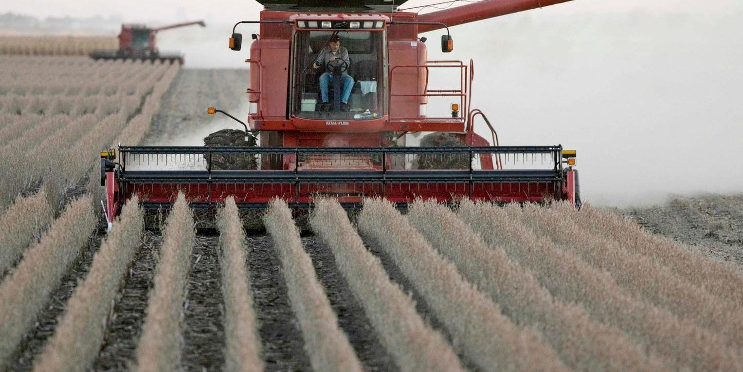Rysk export av sojabönor till Kina har tiofaldigats under de senaste fyra åren.