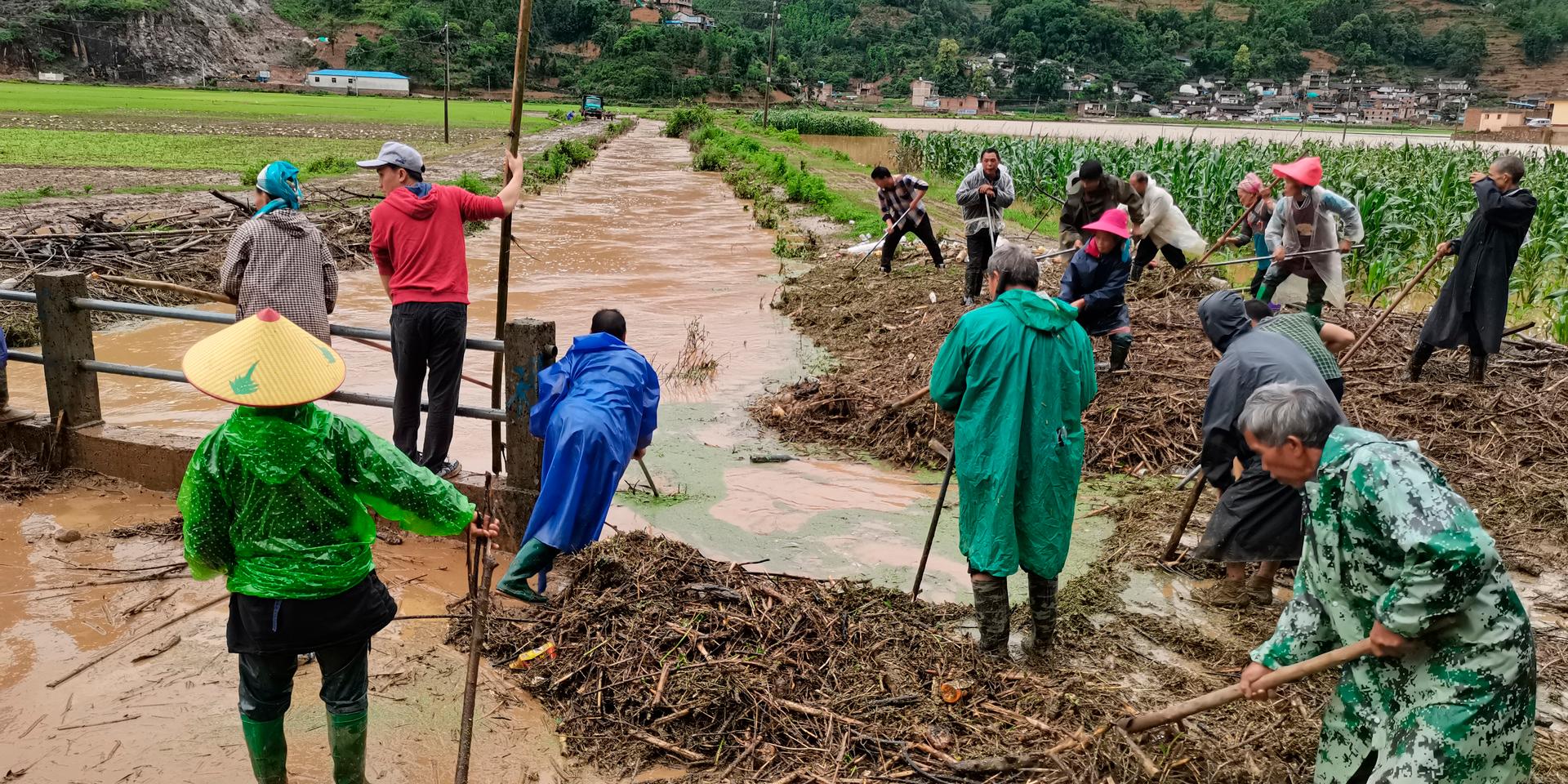 Människor arbetar på ett översvämmat fält i Yunnan-provinsen i sydvästra Kina.