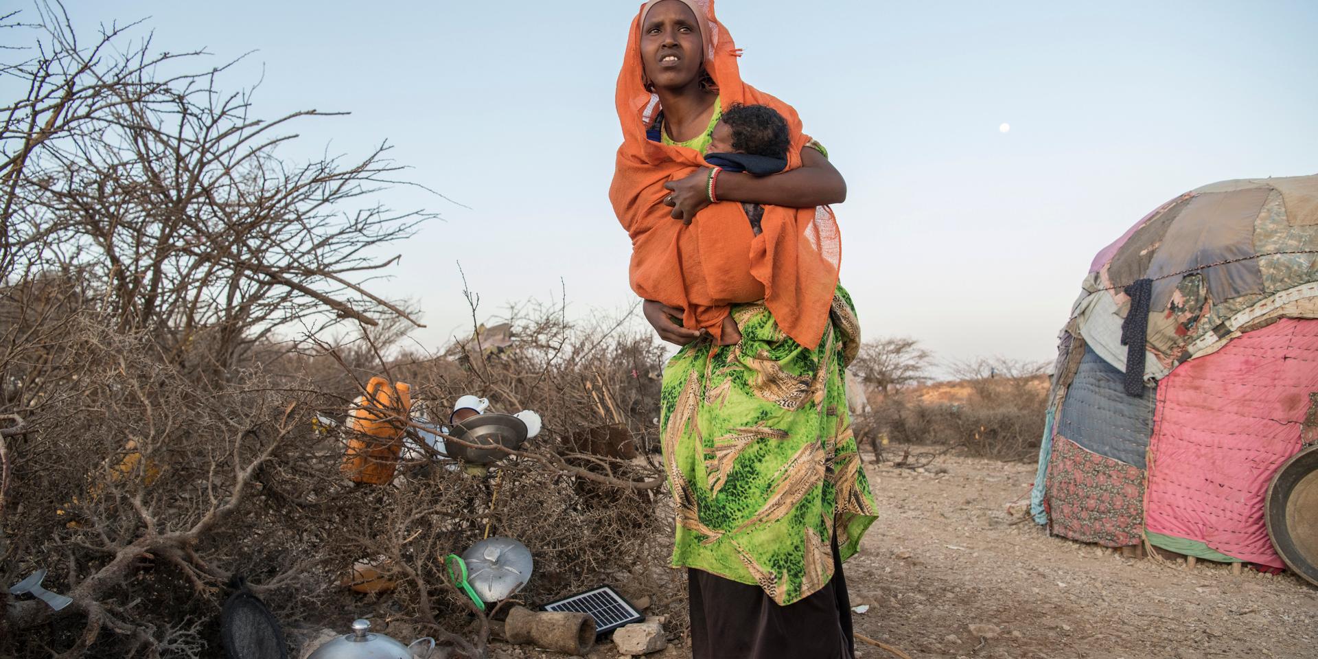 Den självutnämnda republiken Somaliland har drabbats av akut torka. Kriget i Ukraina slår dessutom hårt mot flera länder i Afrika som bland annat importerar vete.