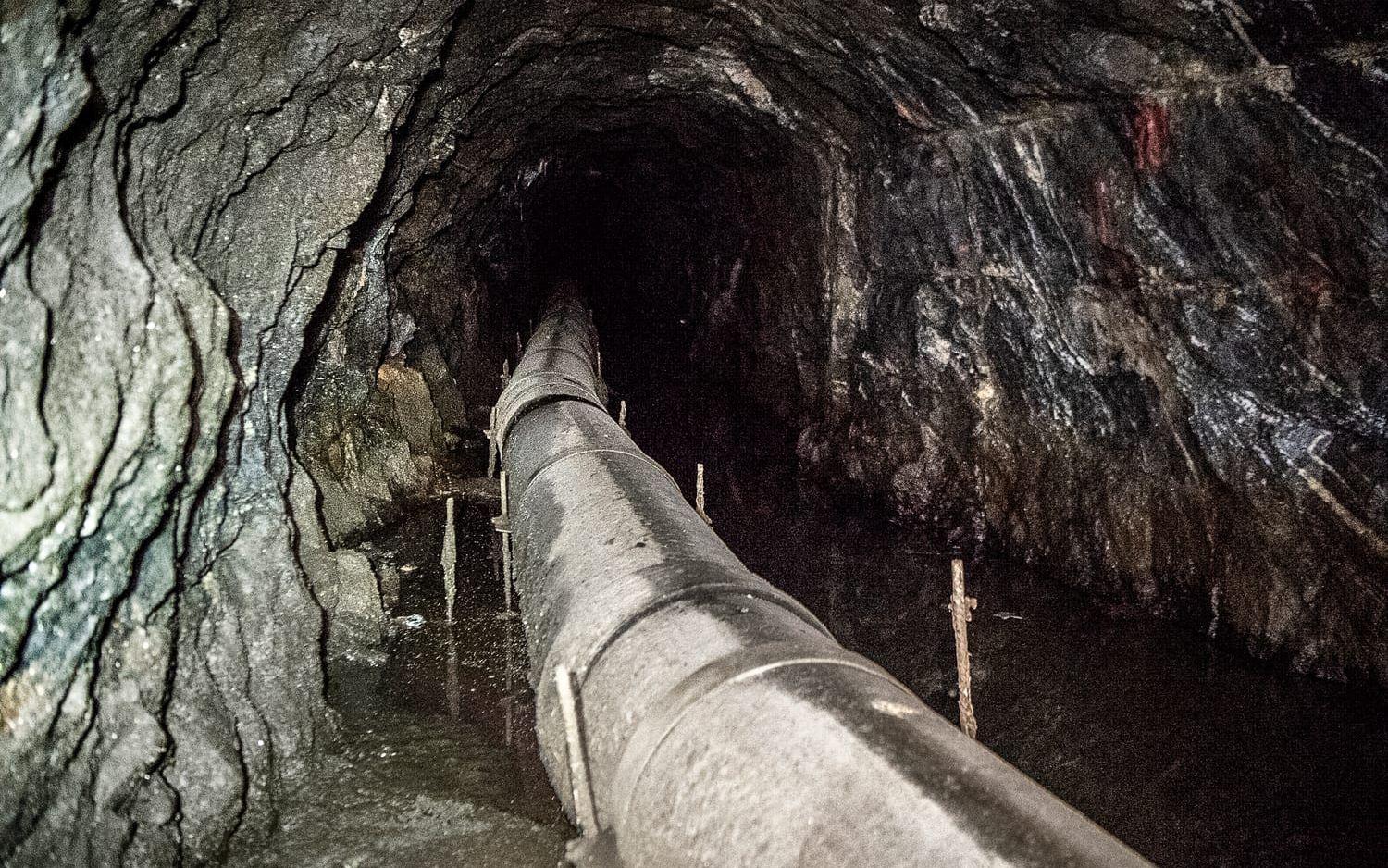 Till TTELAs fotograf och reporters glädje visades en tunnel där avloppsröret är förslutet och avskiljt från dagvattentunneln. 