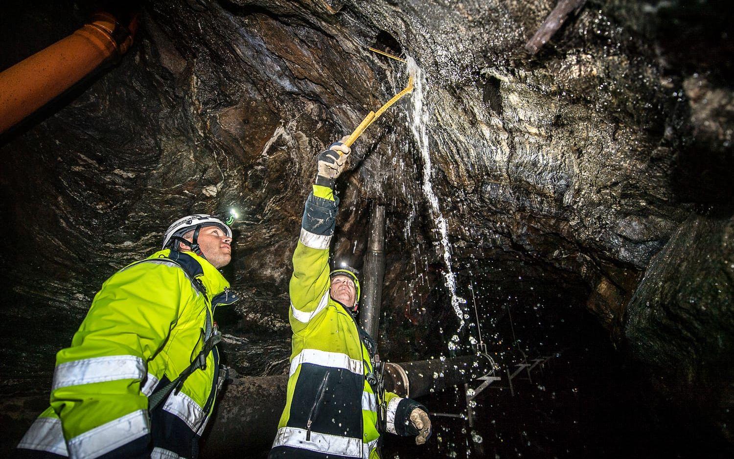 Stefan Bohman och Thomas Källehult inspekterar ett dagvattenhål som leder ner till tunneln. 