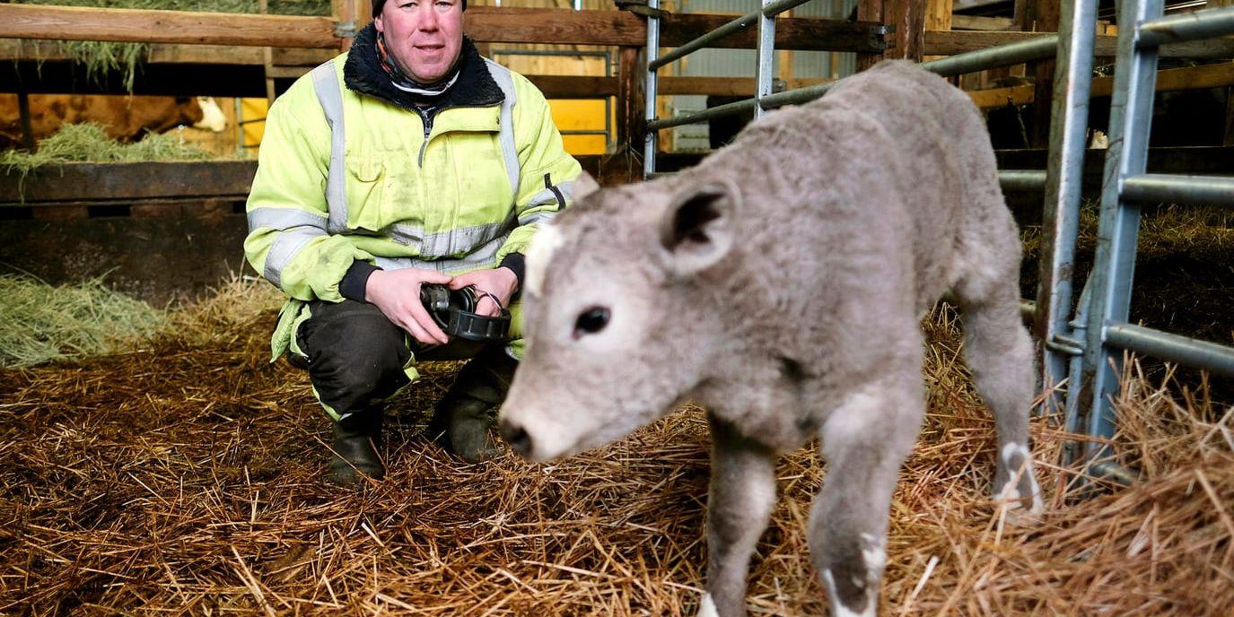 Lantbrukaren Per Wendler, Linköping, har foder till sina djur, men intäkterna är inte vad de brukat vara.