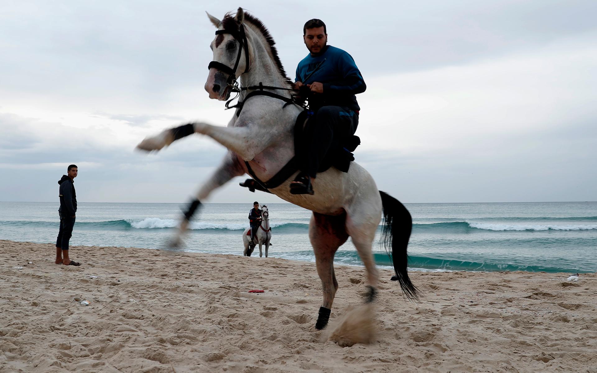 En ung man i staden Gaza, Palestina rider sin häst på stranden under årets sista dag.