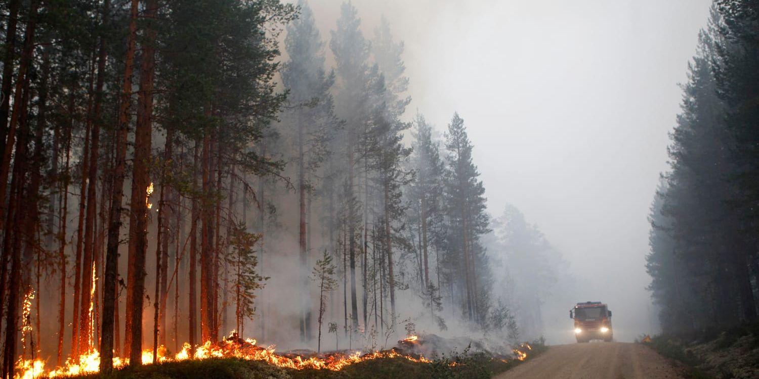 Bild från branden i Kårböle strax utanför Ljusdal förra sommaren.