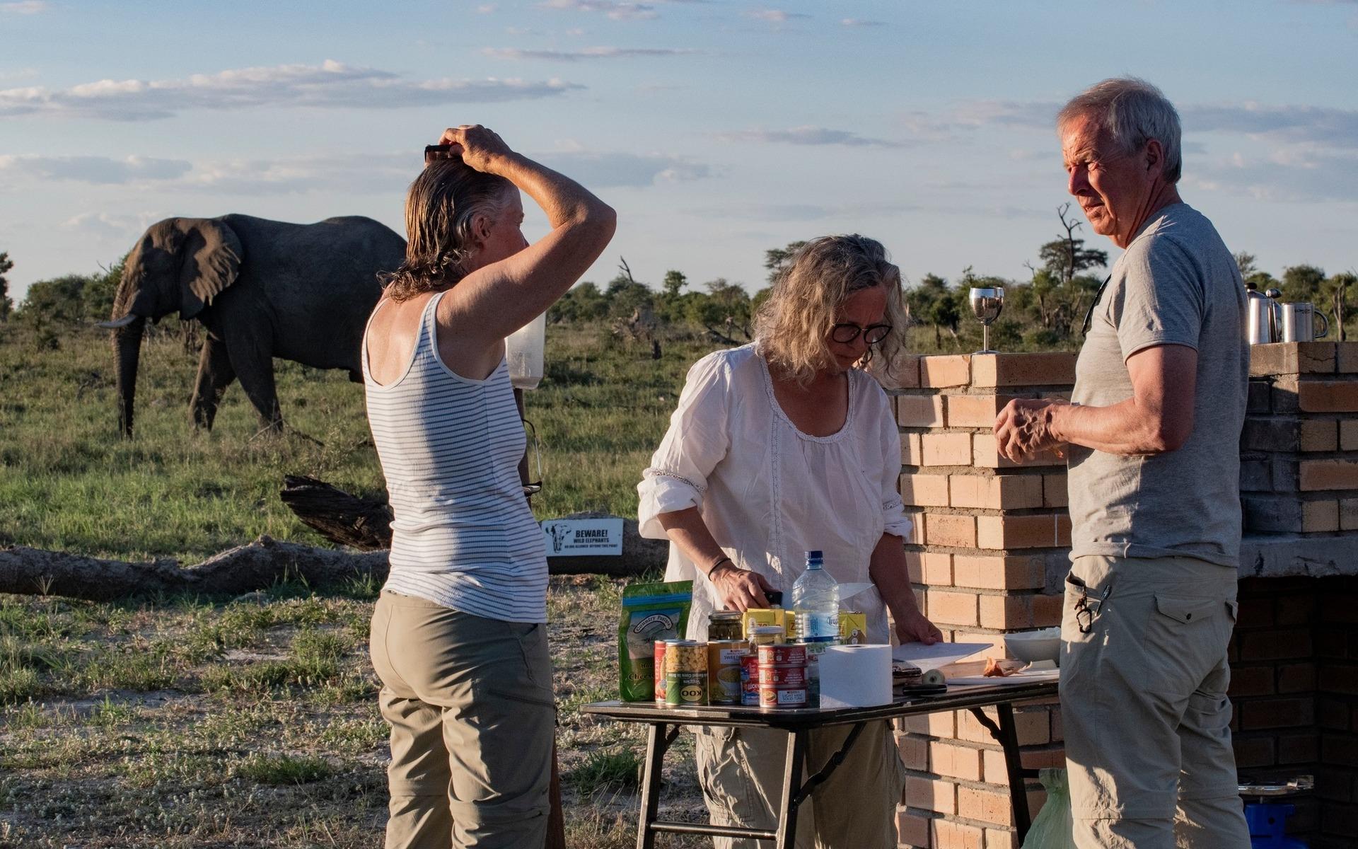 – Det kommer en elefant ropade vi. Vem bryr sig sade köksgänget. Det gäller att fokusera på rätt saker, skriver Marianne Brattberg som besökte Botswana.