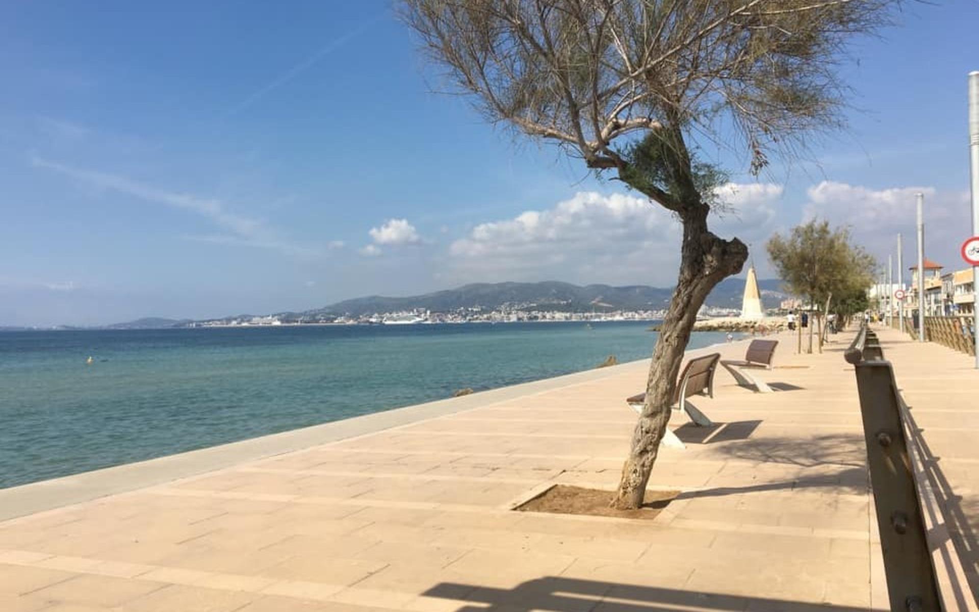 Birgitta Sekund har delat med sig av semestern på Mallorca: ”Palma på Mallorca. När livet är som bäst, det ska va’ gött å leva”, skriver hon.