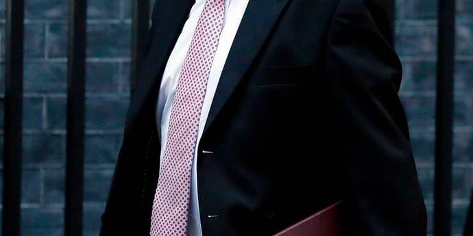 Storbritanniens handelsminister Liam Fox på väg till regeringssammanträde på Downing Street i London. Arkivbild.