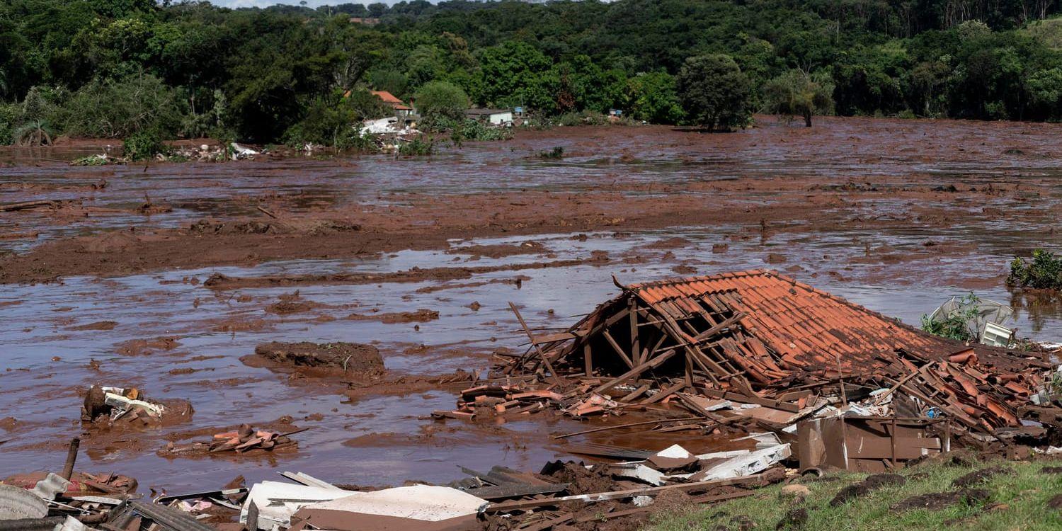 Över 160 personer miste livet i samband med damolyckan utanför Belo Horizonte i år.