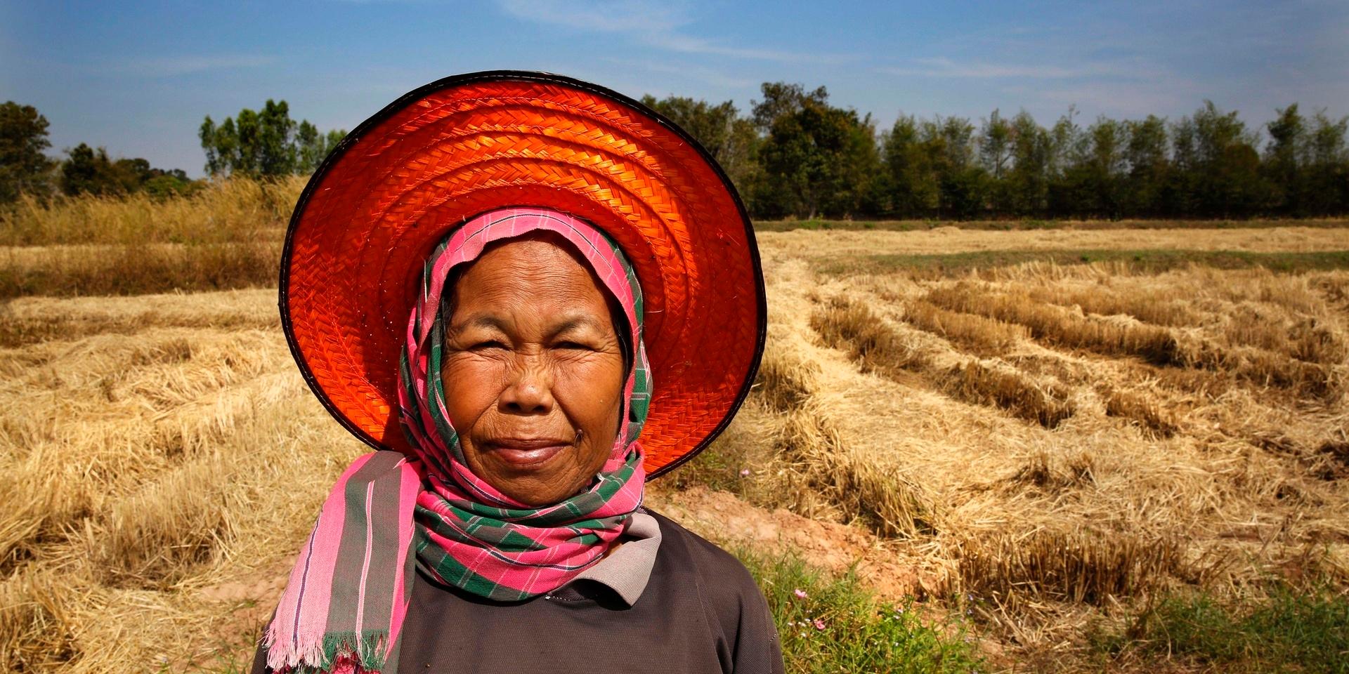 Risbonden Jumnong Sudnongbua vid sitt fält i byn Kambon i nordöstra Thailand. I området finns många småskaliga jordbruk – viktiga för matförsörjningen i regionen. Arkivbild.