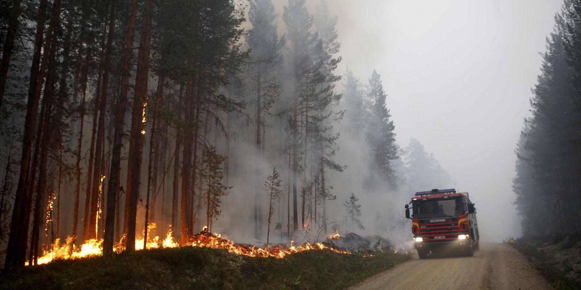 Många lärdomar har dragits sedan skogsbränderna 2018. Arkivbild. 